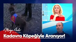 Arife Gökçe su altı kadavra köpeği Mavi ile aranıyor! - Müge Anlı ile Tatlı Sert 30 Aralık 2022