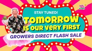 💥 Exclusive Grower Direct Flash Sale &ndash; Shop Before It&rsquo;s Gone!