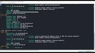 PyShark Python wrapper for TShark