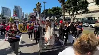 Caged Woman Leads Israel Protest Demanding Release of Hostages | VOA News