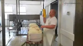 City of Cooperation | Lattemilia: il burro nobile che fa bene al cuore