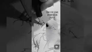 Back on paper | freestyle sketching a bird