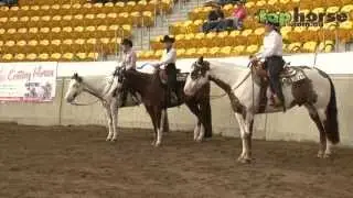 PHAA National Championship Show 2013 - 4YO Trail Horse