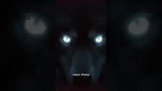 The Beast of Bray Road &mdash; Real Werewolf in Wisconsin? 👀🐺