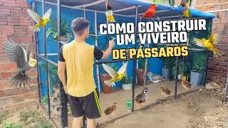 Passo a Passo de Como Construir um Viveiro de P&aacute;ssaros