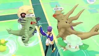High cp Pok&eacute;mon appear in wild *But*