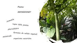 Botanica e classificazione dei vegetali