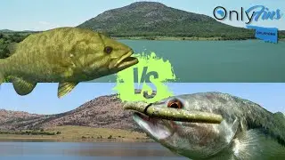 Lake Lawtonka vs. Elmer Thomas: Which Oklahoma Lake Wins for BASS FISHING?