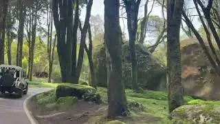 youtube video Sintra ( Just a little taste)