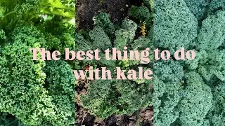 The best thing to do with kale
