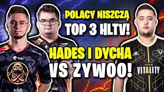 POLACY NISZCZĄ TOP 3 HLTV!!! HADES I DYCHA VS ZYWOO, ENCE VS VITALITY - SHOTY CSGO