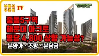 중동5구역 해운대 아크로 평당 4800 상향 가능성, 중동5구역 분양가 조망 분담금, 해운대 중동5구역 해운대재개발, 부산더샵센텀포레 부동산 우경원tv 김소장