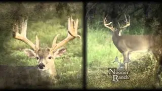 Check Out These Trophy Bucks At The Nooner Ranch