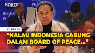 Respons SBY soal Indonesia Gabung Dewan Perdamaian Besutan Trump