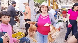 MUITA FARTURA NA FEIRA DE SAO BENEDITO CEAR&Aacute; 31/01/26