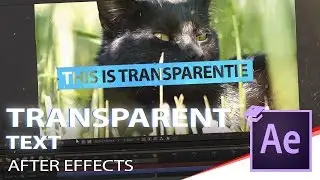 After effects Transparent text with background TUTORIAL