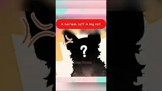 Is This Cat a Rat? #cat #animation #cute