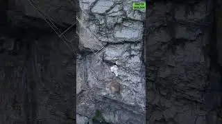 Very dangerous Palace in China #short #shorts