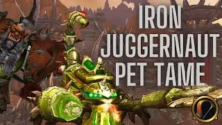 How to Build & Tame the Iron Juggernaut for ALL Hunter Specs