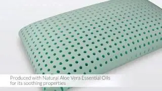 Blu Sleep Products Nature Bio Aloe Pillow