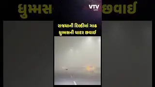 Dense fog blankets the capital Delhi, affecting traffic