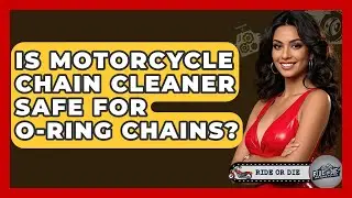 Is Motorcycle Chain Cleaner Safe For O-Ring Chains? - Ride or Die Motorcycles