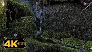 4K Trickling Water Sound | No Birds | Running Stream Brook River | Meditation Sleep Relaxing Nature