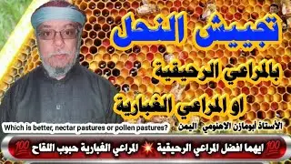 ماهو الفرق وايهما افضل المراعي الرحيقية اوالمراعي الغبارية💥تجييش النحل💥الاستاذ ابومازن الاهنومي