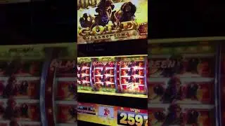 Buffalo 🦬 Gold Collection #Low betting #Casino Adventures