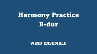 ⭐️【吹奏楽基礎合奏】和音練習 変ロ長調 Harmony Practice B dur