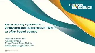 Analyzing the Suppressive TME in In Vitro Based Assays