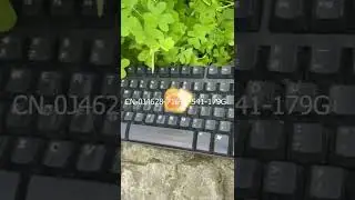 NEW Official Gaming Keyboard from Obama Keyboards Co!!