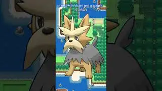 Pok&eacute;mon Fact of the Day --- Lillipup, Herdier, Stoutland