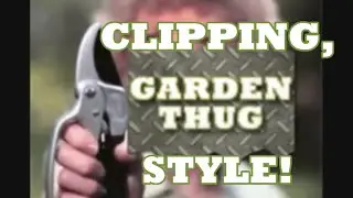 CLIPPING IN VIDEO GAMES - DCUO