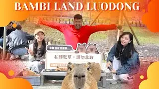 Bambi Land Yilan Vlog 🦌 | Feeding Deer & Capybara | Taiwan Nature Trip