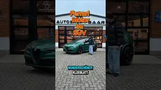 Alfa Romeo Stelvio Quadrifoglio (2024) | 510 PS V6 | Der wildeste SUV 🇮🇹🍀