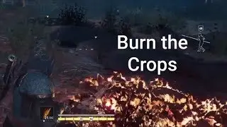 Assassin's Creed Odyssey : Investigate the Field # Burn the Contaminated Crops