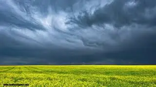 Storm Time Lapse over a Canola Field - Moses Lake, WA