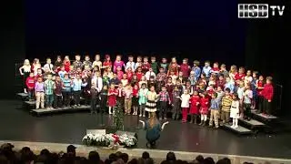 Desert View - Winter Concert 2015 @Armand Larive