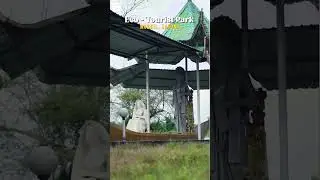 Top 5 places to visit in Naharkatia #youtubeshorts #assam #dibrugarh #india  Video #teamnaharkatia