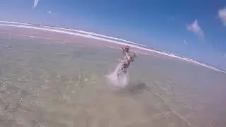 Beach time with Wallace the dog