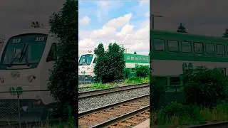 🚆 GO TRAIN ARRIVING AT GEORGETOWN STATION &ndash; 🇨🇦 ONTARIO, CANADA