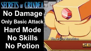 Secrets of Grindea: Sol-Gem Boss [No Damage, No Potion/Skills, Hard(OP)]