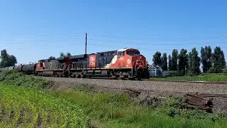 CN 3892 ES44AC And CN 2202 C44-9W Lead CN 309 Mixed Train W/Mid Train DPU Page Road Matsqui BC