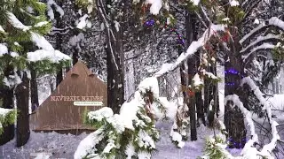 Christmas Camping | Hot Tent Camping | Winter Camping in Snow | Below 0 | ASMR