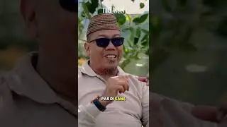 Harga Jual Alpukat Hass ?