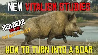 Red Dead Online New Vitalism Studies Pamphlet! How to Turn Into a Boar!