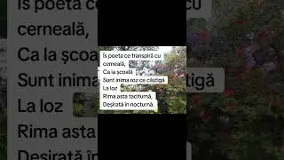 AstroPoema - Poeta (Vabank - Cafe Jazz Trio)