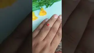 Natural Red Coral Stacking Ring-Coral Birthstone Bezel Ring-Red Coral Solitaire Ring-925