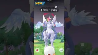 First Ever Origin Palkia Raid Back in Pokemon GO